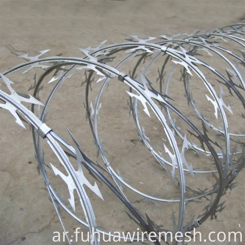 China Specialized Manufacturer Razor Barbed Tape Wire1